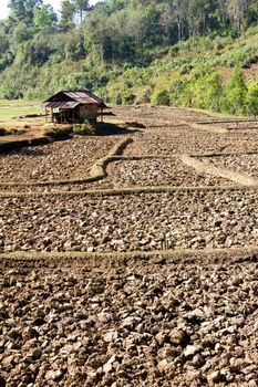 Traditional farming.Rural field after the rice harvest at pai district, Mae Hong Son Province,Thailand.