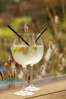 hugo prosecco elderflower soda ice summer drink outdoor aperitif
