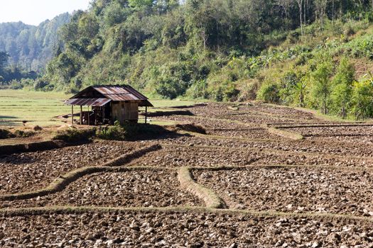Traditional farming.Rural field after the rice harvest at pai district, Mae Hong Son Province,Thailand.