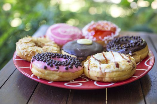 Tasty donuts on the Table.