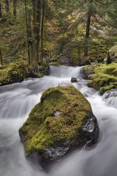 Panther Creek Falls with Big Mossy Rocks in Washington State Forest