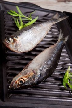 Two fresh anchovy fish on black roast, top view. Barbeque, roasted seafood concept. Delicious healthy eating. 