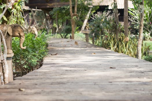 Wooden boardwalk in the garden, stock photo