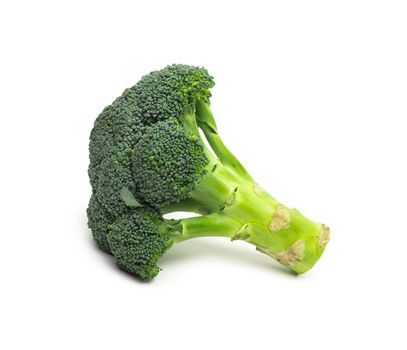 Broccoli isolated on white background