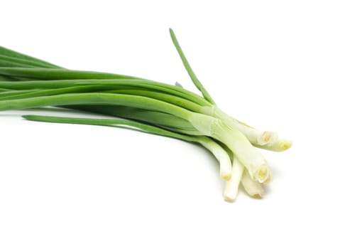 Eight ripe, beautiful spring onions on a white background.
