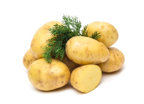 potato isolated on white background close up