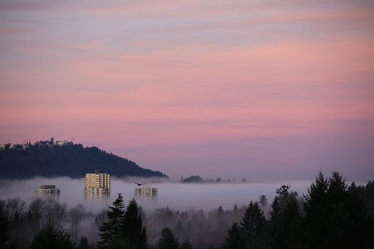 High mountain sunrise fog 