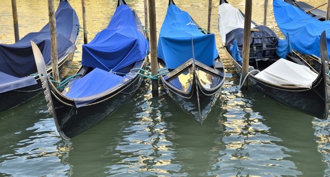 Gondolas parked at the Grand Canal in Venice, Italy