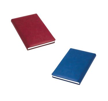 red and blue books