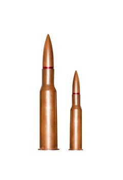 Two rifle bullets