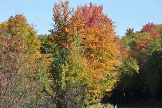 Fall Colors at the White Mountain National Forest in New Hampshire