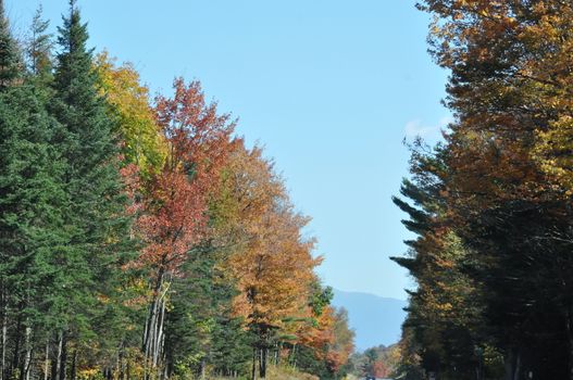 Fall Colors at the White Mountain National Forest in New Hampshire