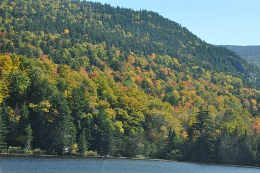 Fall Colors at the White Mountain National Forest in New Hampshire