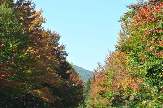 Fall Colors at the White Mountain National Forest in New Hampshire