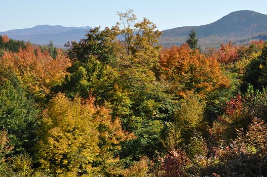 Fall Colors at the White Mountain National Forest in New Hampshire