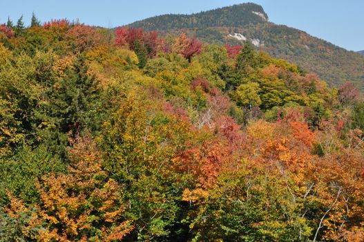 Fall Colors at the White Mountain National Forest in New Hampshire