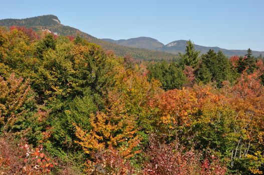 Fall Colors at the White Mountain National Forest in New Hampshire