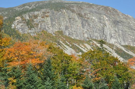 Fall Colors at the White Mountain National Forest in New Hampshire