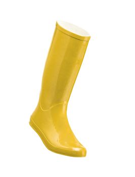 rubber boot isolated on white background