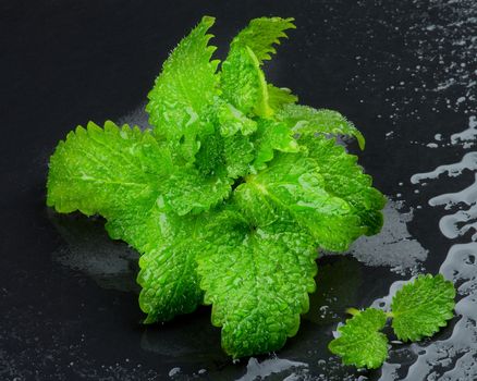 Arrangement of Perfect Raw Fresh Green Mint Leafs with Water Drops isolated on Wet Black Stone background