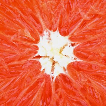 Background of Fresh Red Grapefruit Slice with Juice Drops Cross Section closeup