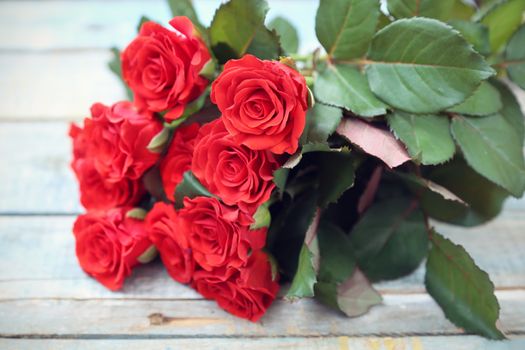 beautyful fresh red roses on wooden background