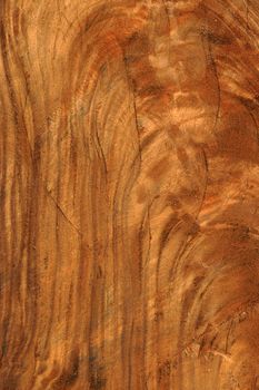 Surface of the tree are used in industrial applications.