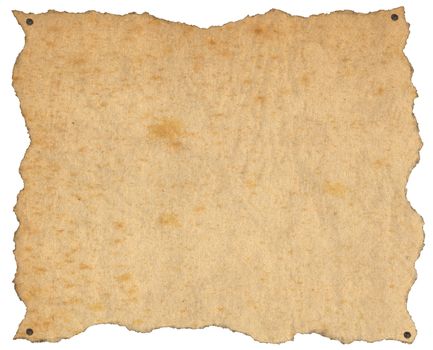Brown empty parchment or sheet of paper with nails, isolated on a white background
