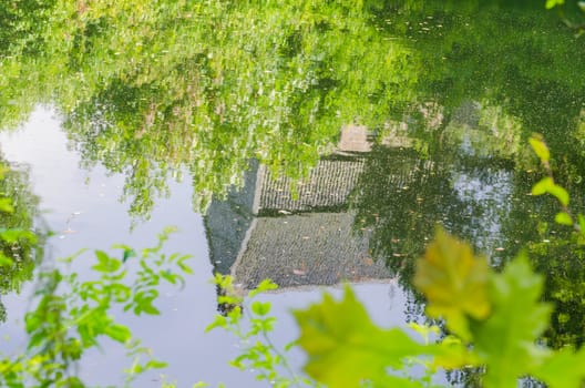 Water Reflection, Reflection of a house in a pond.