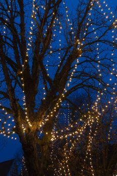 Tree with Christmas lights on a Christmas market.