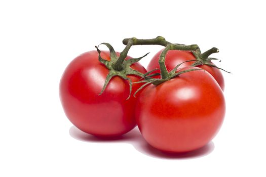 Plum tomatoes with leaves on white background