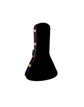 Guitar case isolated on white