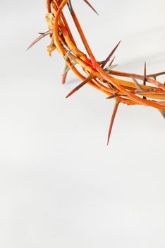 crown made of thorns isolated on white background