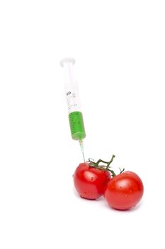 Gmo product concept: Tomato injection isolated