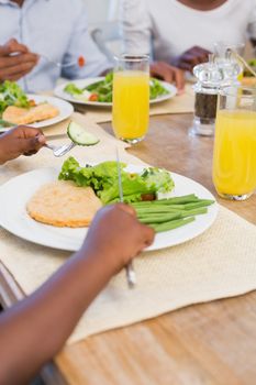 Family enjoying a healthy meal together at home in the kitchen