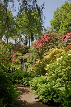 A view of the woodland area of the Dorothy Clive garden which is situated on the border between Staffordshire and Shropshire in England.