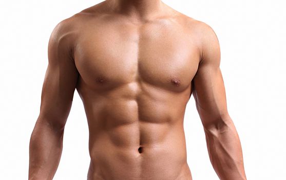 strong torso of a young man on white background 