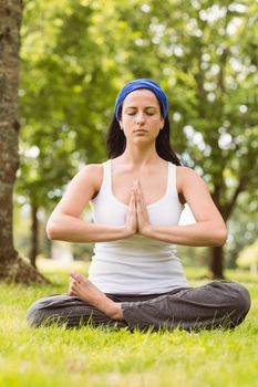Fit brunette sitting in lotus pose with hands together on grass in the park