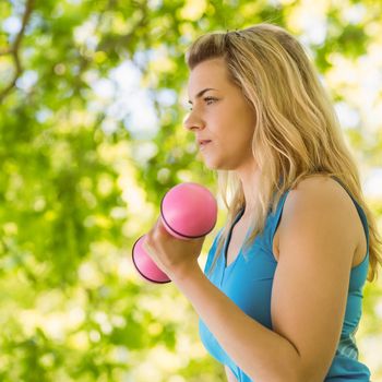 Fit blonde lifting dumbbells in the park on a sunny day
