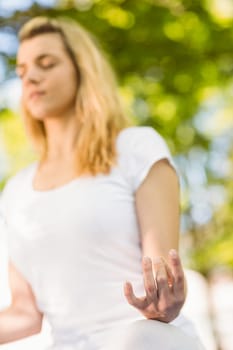 Peaceful blonde doing yoga in the park on a sunny day