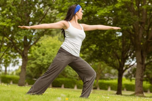 Peaceful brunette doing yoga on grass in the park