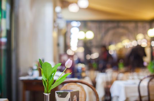 View of tulip flower on the restaurant table