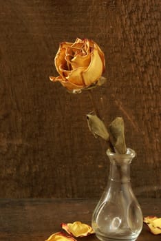 A closeup shot of a dried rose in a vase on some textured wood.