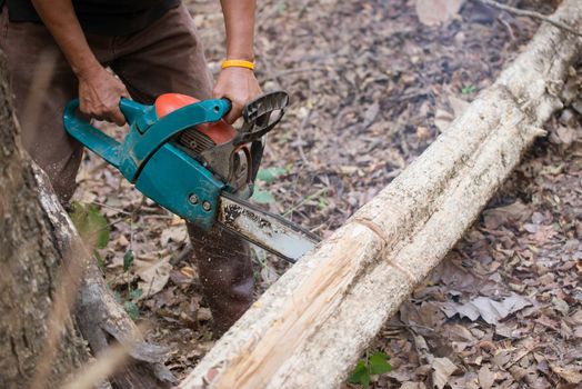  man cutting the log of wood with chainsaw