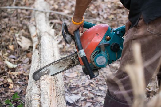  man cutting the log of wood with chainsaw