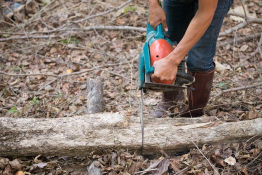  man cutting the log of wood with chainsaw
