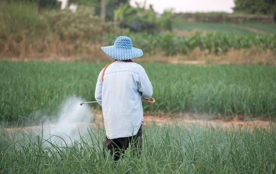 farmer spraying pesticide at onion field in thailand