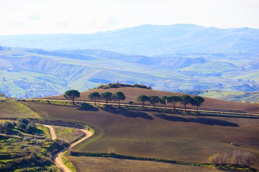 View of plowed field in the Leonforte countryside, Sicily