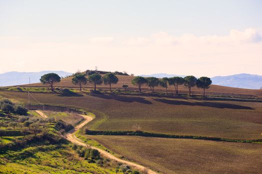 View of plowed field in the Leonforte countryside, Sicily