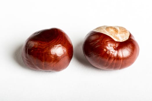 Set of delicious chestnuts on white bacground